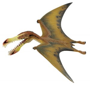 Pterosaur